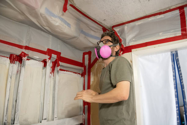 Best Mold Odor Removal Services  in Mcnair, VA